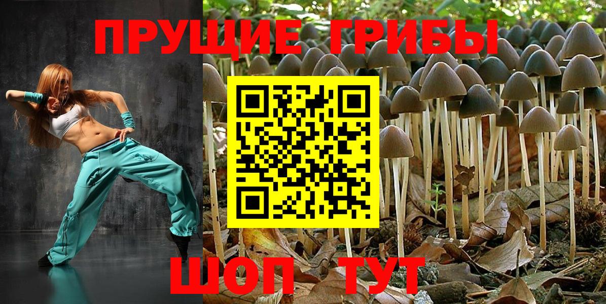 Псилоцибиновые грибы ЛСД  Псилоцибиновые грибы Cubensis  Магадан  Вход с VPN 